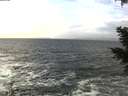 ./images/koeye/fitz-hugh/20210102/fitz-hugh20210102_125002.jpg
