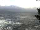 ./images/koeye/fitz-hugh/20210102/fitz-hugh20210102_130502.jpg