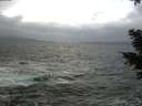 ./images/koeye/fitz-hugh/20210102/fitz-hugh20210102_134501.jpg