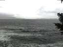 ./images/koeye/fitz-hugh/20210102/fitz-hugh20210102_141001.jpg