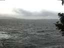 ./images/koeye/fitz-hugh/20210102/fitz-hugh20210102_142501.jpg