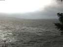./images/koeye/fitz-hugh/20210102/fitz-hugh20210102_143001.jpg