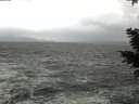 ./images/koeye/fitz-hugh/20210102/fitz-hugh20210102_144501.jpg