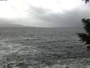 ./images/koeye/fitz-hugh/20210102/fitz-hugh20210102_145001.jpg
