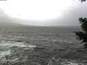 ./images/koeye/fitz-hugh/20210102/fitz-hugh20210102_145501.jpg