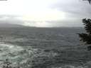 ./images/koeye/fitz-hugh/20210102/fitz-hugh20210102_151001.jpg