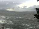 ./images/koeye/fitz-hugh/20210102/fitz-hugh20210102_152001.jpg