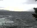 ./images/koeye/fitz-hugh/20210102/fitz-hugh20210102_153002.jpg