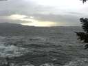 ./images/koeye/fitz-hugh/20210102/fitz-hugh20210102_153501.jpg