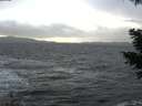 ./images/koeye/fitz-hugh/20210102/fitz-hugh20210102_154502.jpg