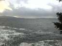 ./images/koeye/fitz-hugh/20210102/fitz-hugh20210102_155502.jpg