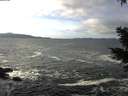 ./images/koeye/fitz-hugh/20210103/fitz-hugh20210103_122501.jpg