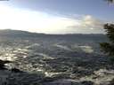 ./images/koeye/fitz-hugh/20210103/fitz-hugh20210103_123501.jpg