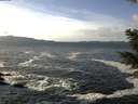 ./images/koeye/fitz-hugh/20210103/fitz-hugh20210103_124001.jpg