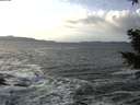 ./images/koeye/fitz-hugh/20210103/fitz-hugh20210103_130501.jpg