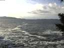 ./images/koeye/fitz-hugh/20210103/fitz-hugh20210103_131002.jpg