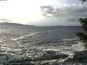 ./images/koeye/fitz-hugh/20210103/fitz-hugh20210103_132002.jpg