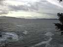 ./images/koeye/fitz-hugh/20210103/fitz-hugh20210103_135002.jpg