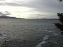 ./images/koeye/fitz-hugh/20210103/fitz-hugh20210103_141002.jpg