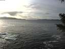 ./images/koeye/fitz-hugh/20210103/fitz-hugh20210103_145001.jpg