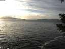 ./images/koeye/fitz-hugh/20210103/fitz-hugh20210103_150501.jpg
