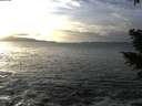 ./images/koeye/fitz-hugh/20210103/fitz-hugh20210103_153001.jpg