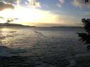 ./images/koeye/fitz-hugh/20210103/fitz-hugh20210103_160002.jpg