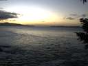 ./images/koeye/fitz-hugh/20210103/fitz-hugh20210103_164002.jpg