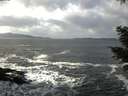 ./images/koeye/fitz-hugh/20210104/fitz-hugh20210104_121501.jpg