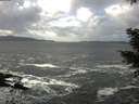 ./images/koeye/fitz-hugh/20210104/fitz-hugh20210104_123501.jpg