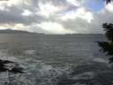 ./images/koeye/fitz-hugh/20210104/fitz-hugh20210104_124001.jpg