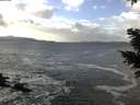 ./images/koeye/fitz-hugh/20210104/fitz-hugh20210104_125501.jpg