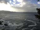 ./images/koeye/fitz-hugh/20210104/fitz-hugh20210104_130001.jpg