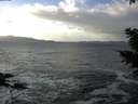 ./images/koeye/fitz-hugh/20210104/fitz-hugh20210104_130501.jpg
