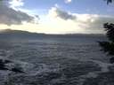 ./images/koeye/fitz-hugh/20210104/fitz-hugh20210104_132002.jpg