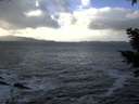 ./images/koeye/fitz-hugh/20210104/fitz-hugh20210104_132502.jpg
