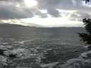 ./images/koeye/fitz-hugh/20210104/fitz-hugh20210104_134002.jpg