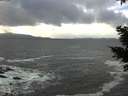 ./images/koeye/fitz-hugh/20210104/fitz-hugh20210104_134502.jpg