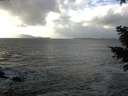./images/koeye/fitz-hugh/20210104/fitz-hugh20210104_140002.jpg
