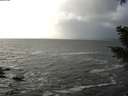 ./images/koeye/fitz-hugh/20210104/fitz-hugh20210104_140502.jpg