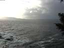 ./images/koeye/fitz-hugh/20210104/fitz-hugh20210104_141002.jpg