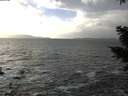 ./images/koeye/fitz-hugh/20210104/fitz-hugh20210104_142501.jpg