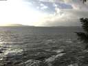 ./images/koeye/fitz-hugh/20210104/fitz-hugh20210104_143001.jpg