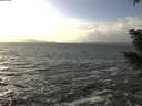 ./images/koeye/fitz-hugh/20210104/fitz-hugh20210104_143501.jpg