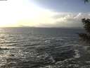 ./images/koeye/fitz-hugh/20210104/fitz-hugh20210104_144001.jpg