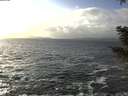 ./images/koeye/fitz-hugh/20210104/fitz-hugh20210104_144501.jpg