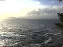 ./images/koeye/fitz-hugh/20210104/fitz-hugh20210104_145001.jpg