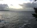 ./images/koeye/fitz-hugh/20210104/fitz-hugh20210104_145501.jpg
