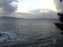./images/koeye/fitz-hugh/20210104/fitz-hugh20210104_150001.jpg