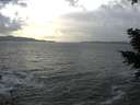 ./images/koeye/fitz-hugh/20210104/fitz-hugh20210104_151001.jpg